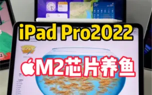 Download Video: 拿iPad Pro2022来养鱼