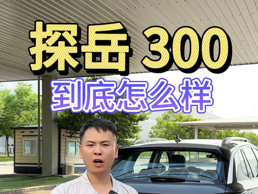 探岳300到底怎么样从安全动力配置三个方面详细剖析让你不在纠结哔哩哔哩bilibili