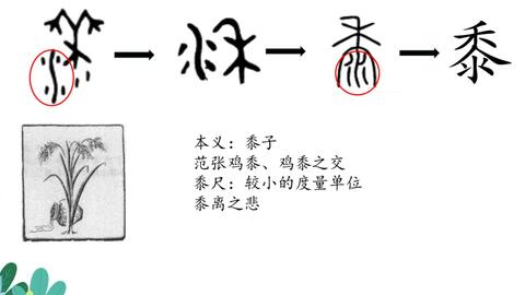 小鸡说字理 与动物有关的汉字 走兽类 哔哩哔哩