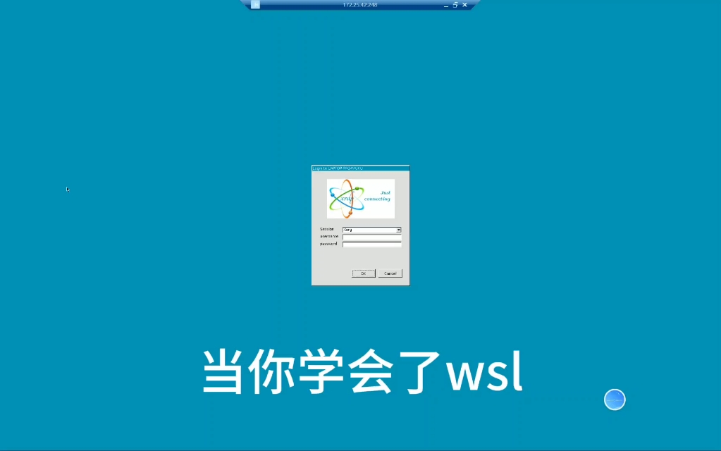 超绝wsl演示,皮毛中的皮毛(学生作业要赞版)哔哩哔哩bilibili