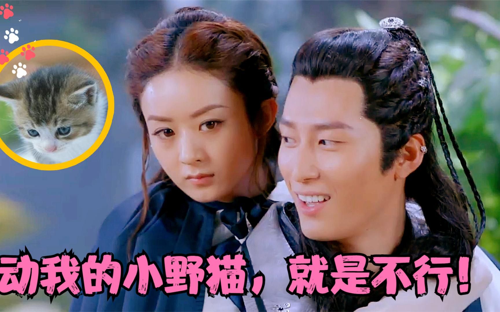 好好的武林萌主,愣是被燕洵哥哥宠成了小野猫