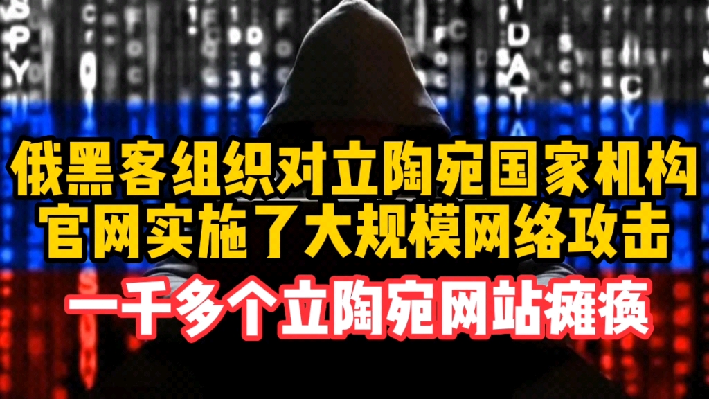 俄黑客组织对立陶宛国家机构官网实施了大规模网络攻击,一千多立陶宛网站瘫痪,哔哩哔哩bilibili