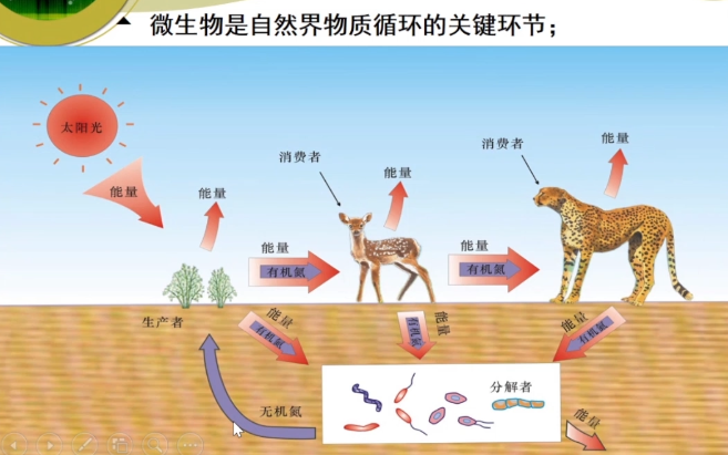 20211026中国人民大学郑祥微生物与我们的亲密接触——新冠病毒与流行病哔哩哔哩bilibili