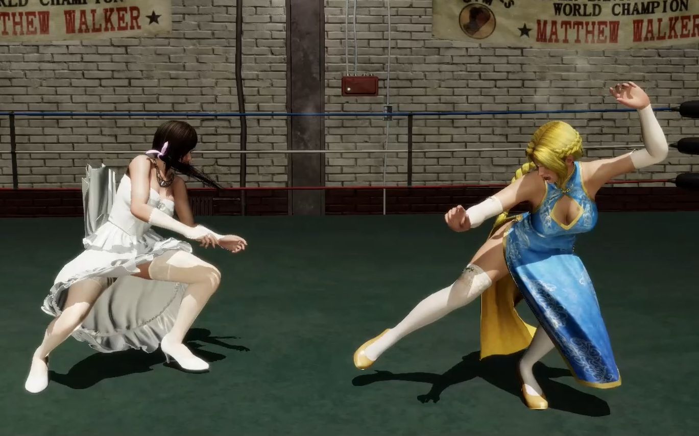 活动作品死或生6姐妹之战海莲娜vs心