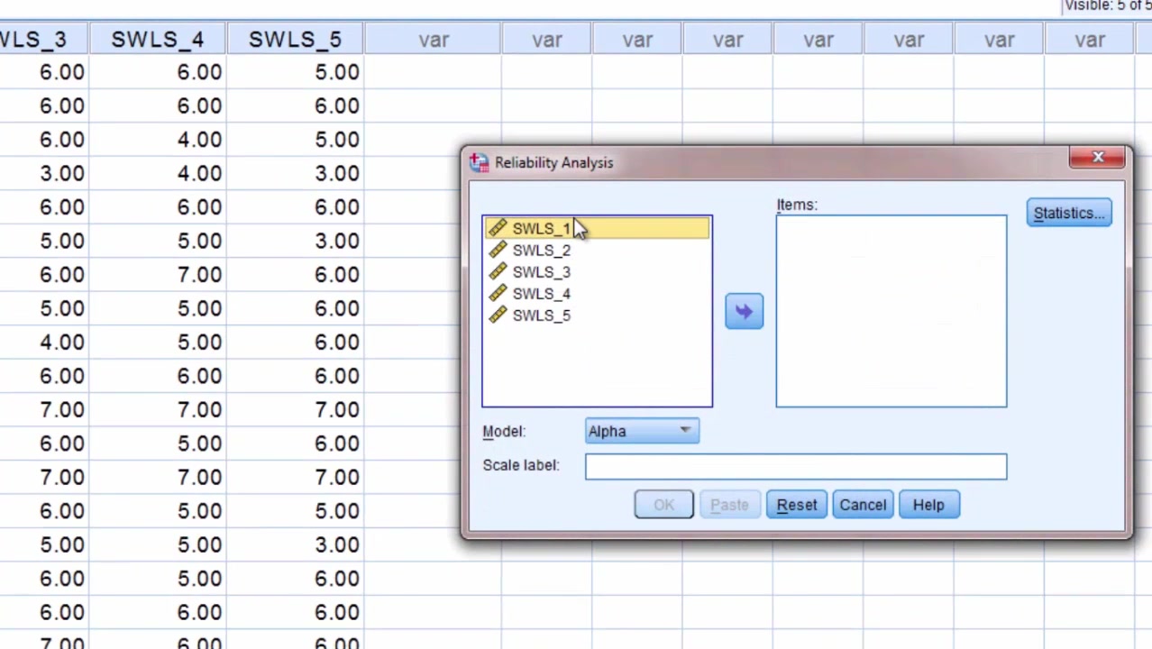 可靠性系数  SPSS Reliability; Cronbach's Alpha;哔哩哔哩bilibili