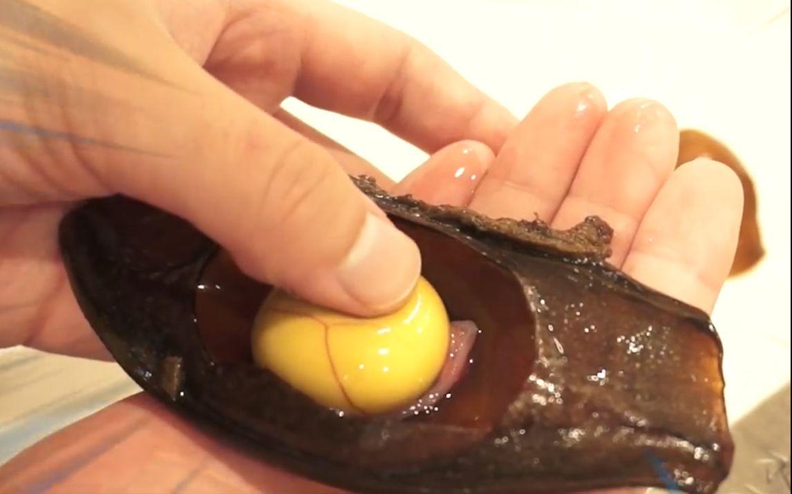 剪开小小的鲨鱼卵,然后把它给吃了,嗯,就是鸡蛋味