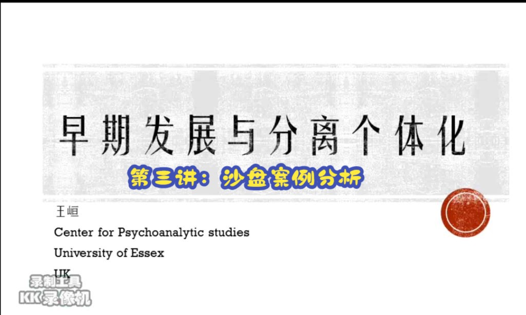 客体心理学:从共生到个体化的心理发展案例分析哔哩哔哩bilibili