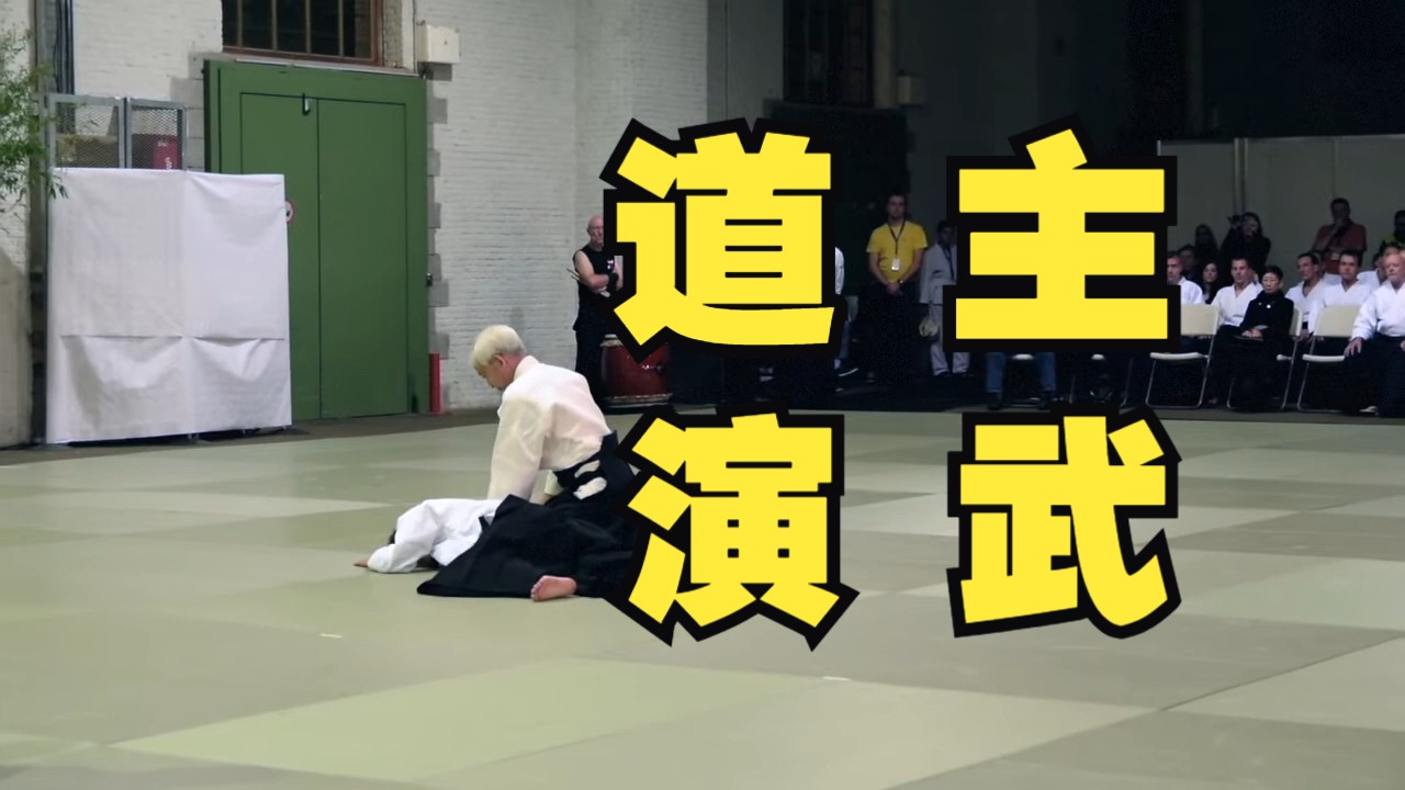 【合气道】国际合气道庆典 - 植芝守央道主演武