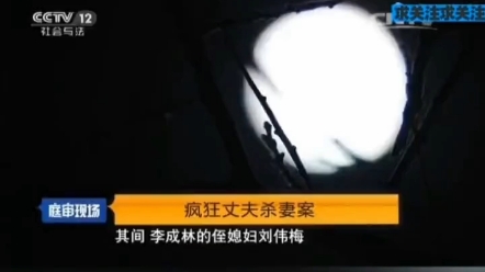 疯狂丈夫杀妻案!毫无人性!