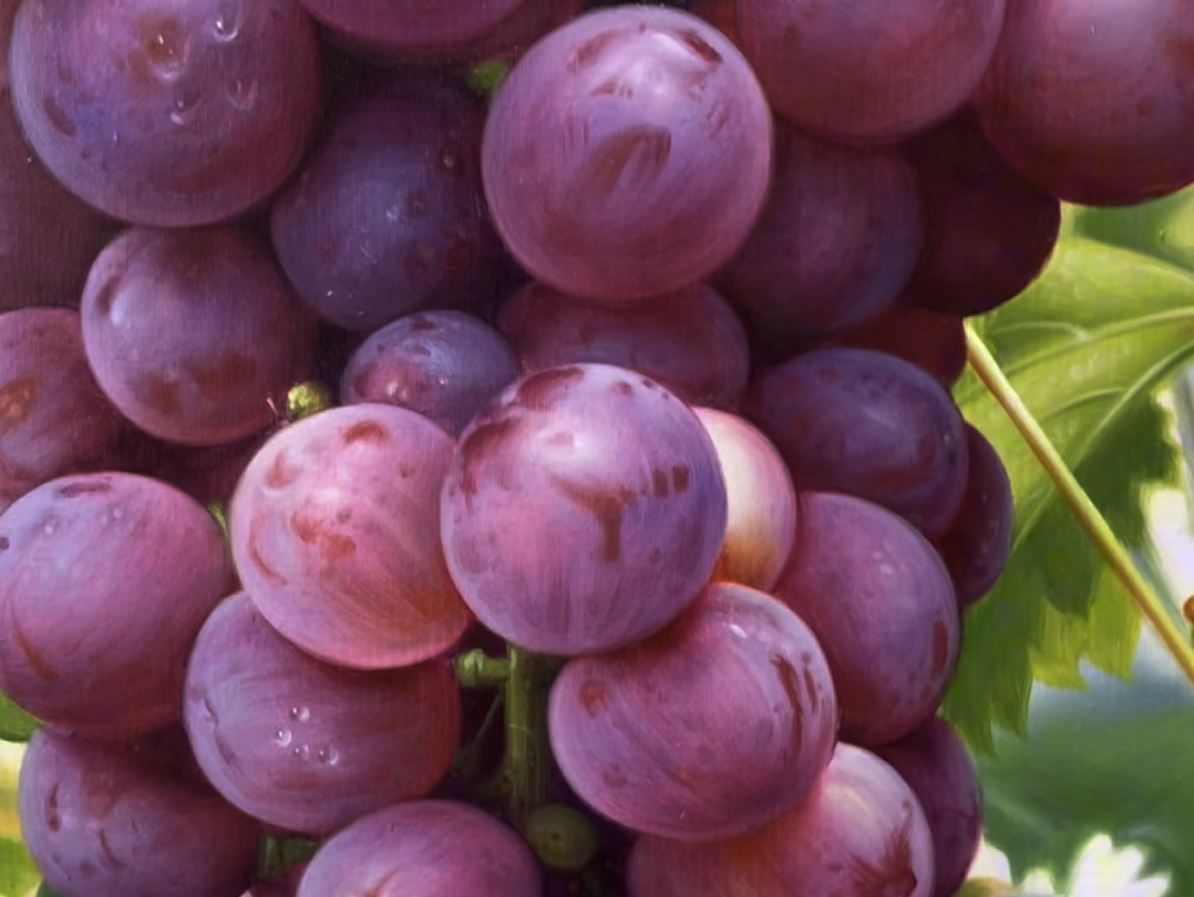 油画玫瑰红葡萄