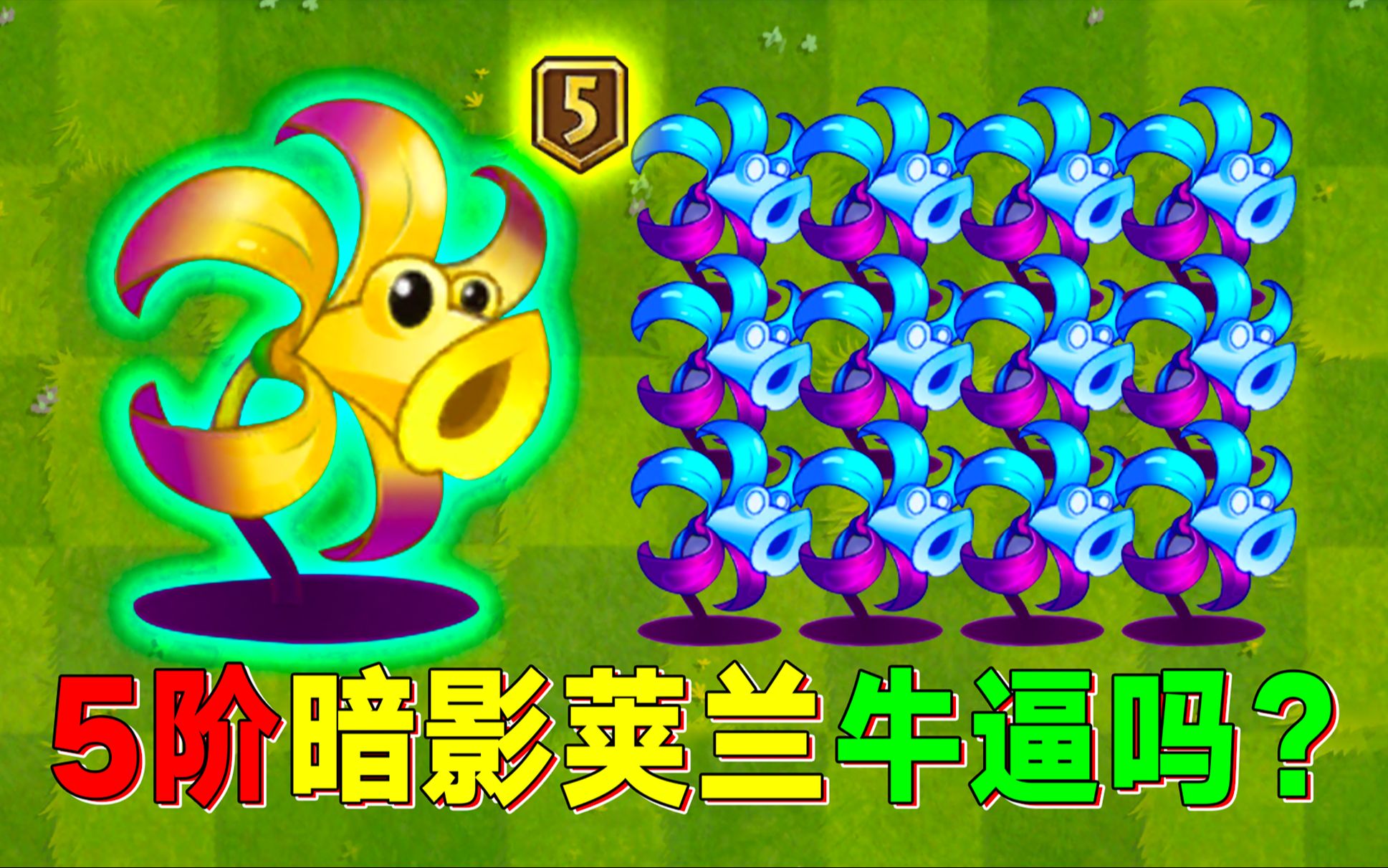 pvz2:真猖狂!5阶暗影荚兰都给整出来了?