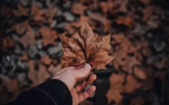 [图]多想跨过手机去抱你，和你说声我想你了，情话万遍，不如你在身边来测一测你的真命天子吧