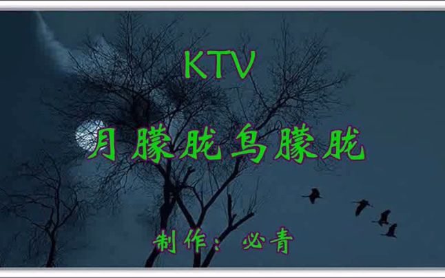 [图]月朦胧鸟朦胧KTV 纯音乐卡拉OK字幕 群众演唱伴奏