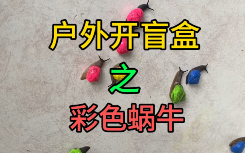 户外开盲盒.发现了蜗牛家族.给它们的蜗牛壳涂上颜色哔哩哔哩bilibili