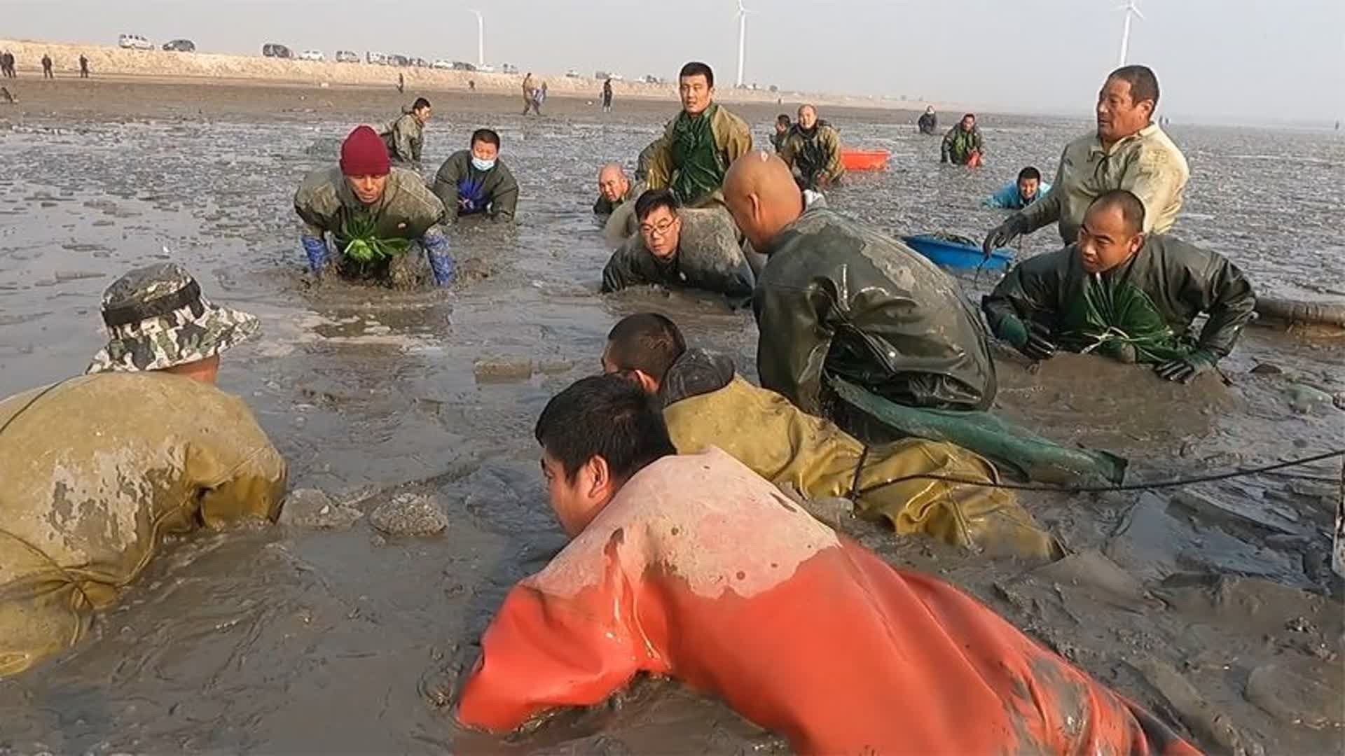 [图]千人捕鱼现场，破开冰层都是大货，罕见“鲫鱼王”惊呆了