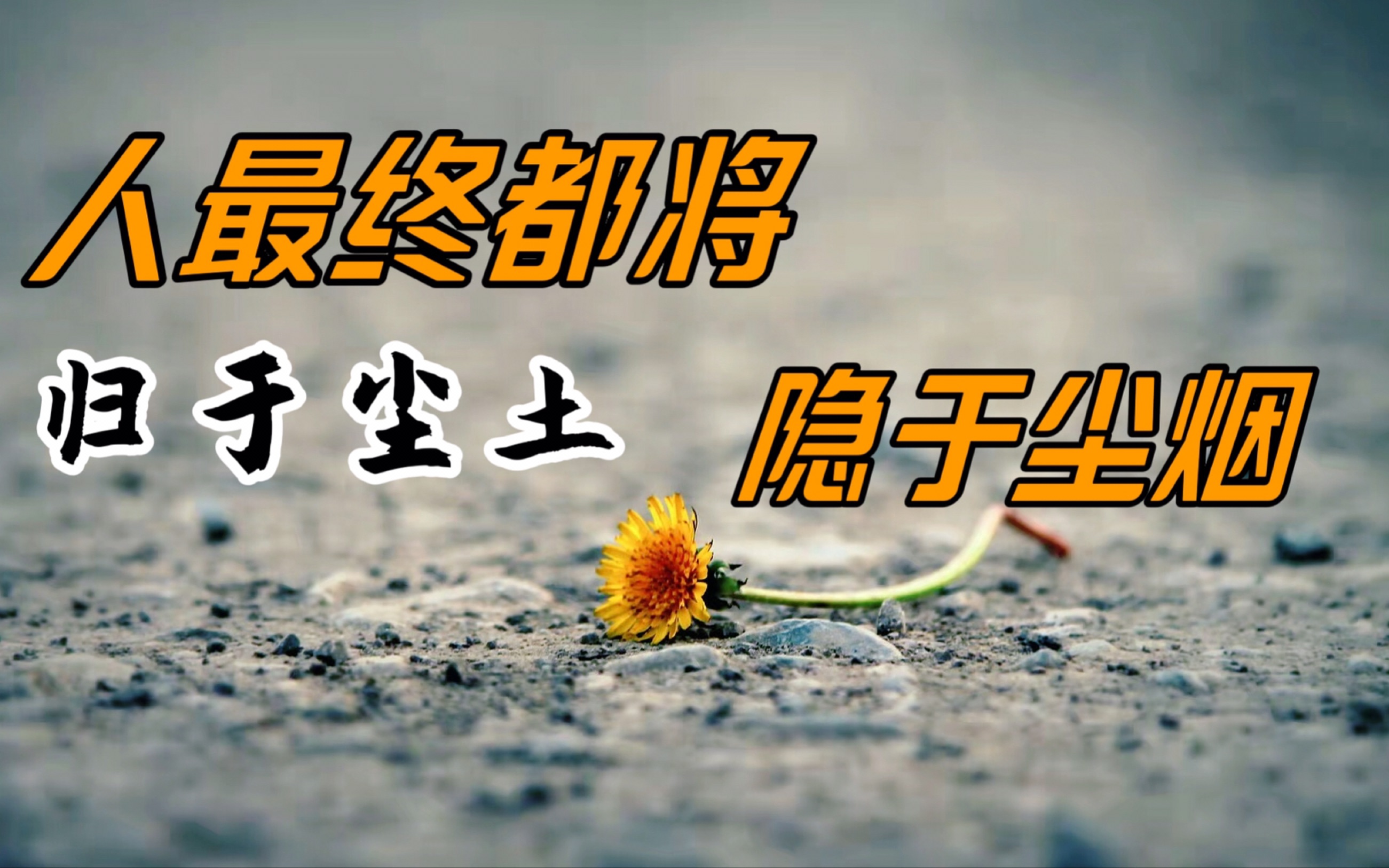 人最终都将归于尘土,隐入尘烟:愿所有的美好都能悄然降临_哔哩哔哩