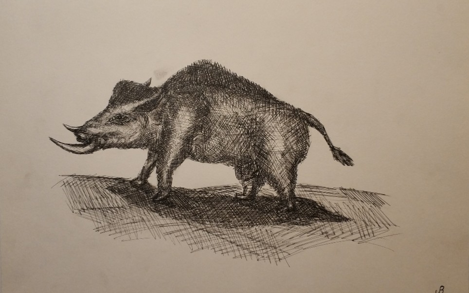 【手绘】野猪