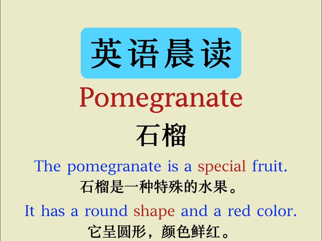 每日英语小短文 | Pomegranate哔哩哔哩bilibili