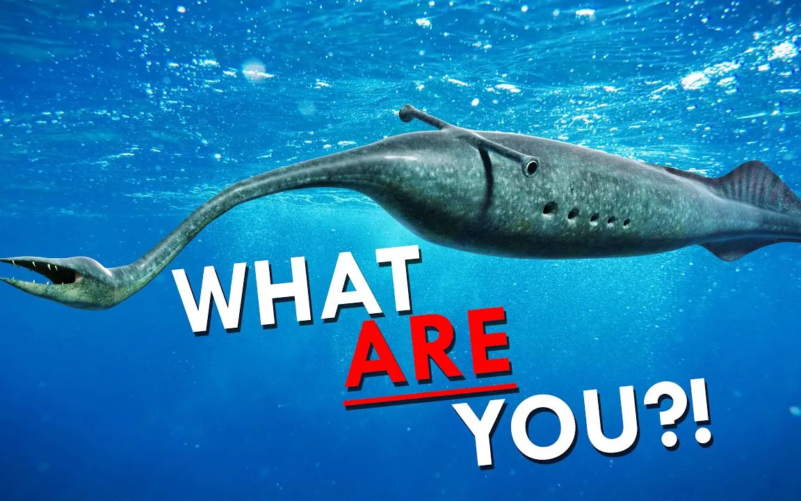 没有人知道塔利怪物到底是什么