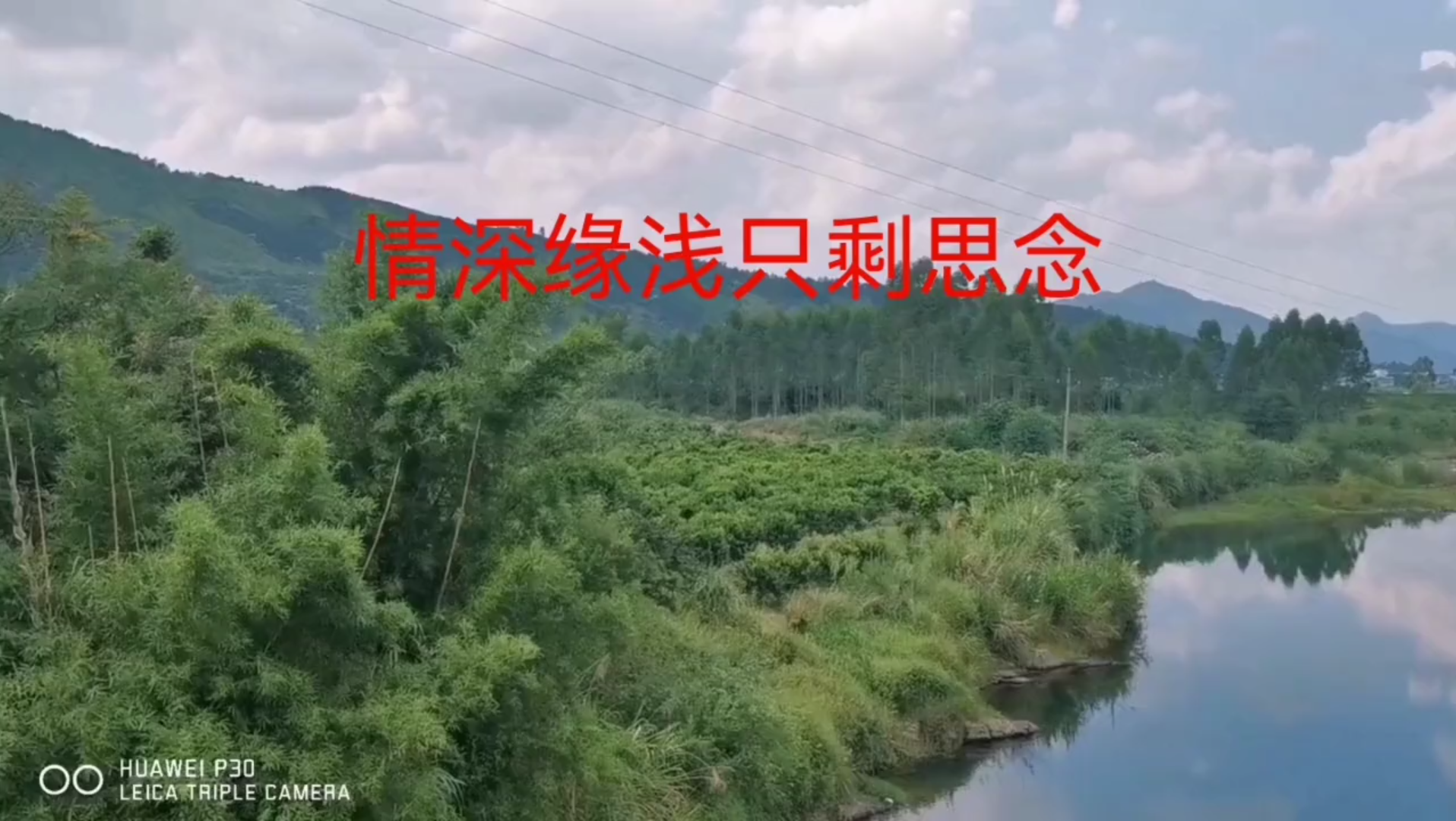 [图]《情深缘浅只剩思念》