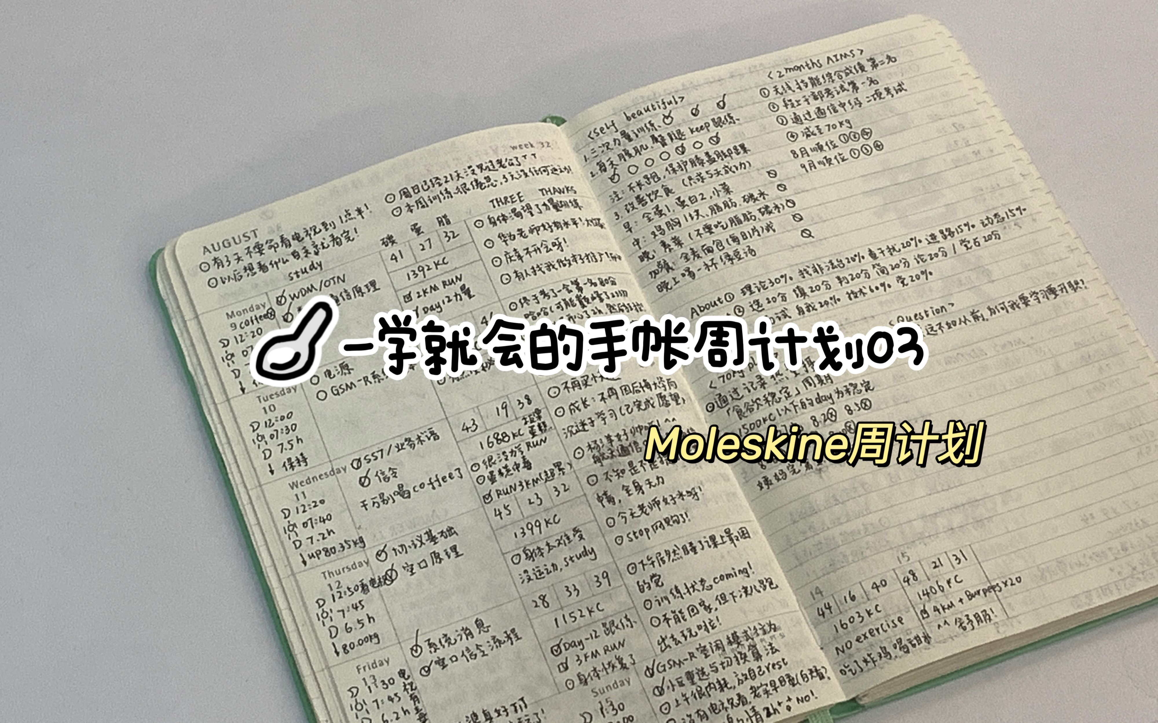 【干货】Moleskine手帐怎么写|减肥复盘、计划管理手帐周计划写法哔哩哔哩bilibili