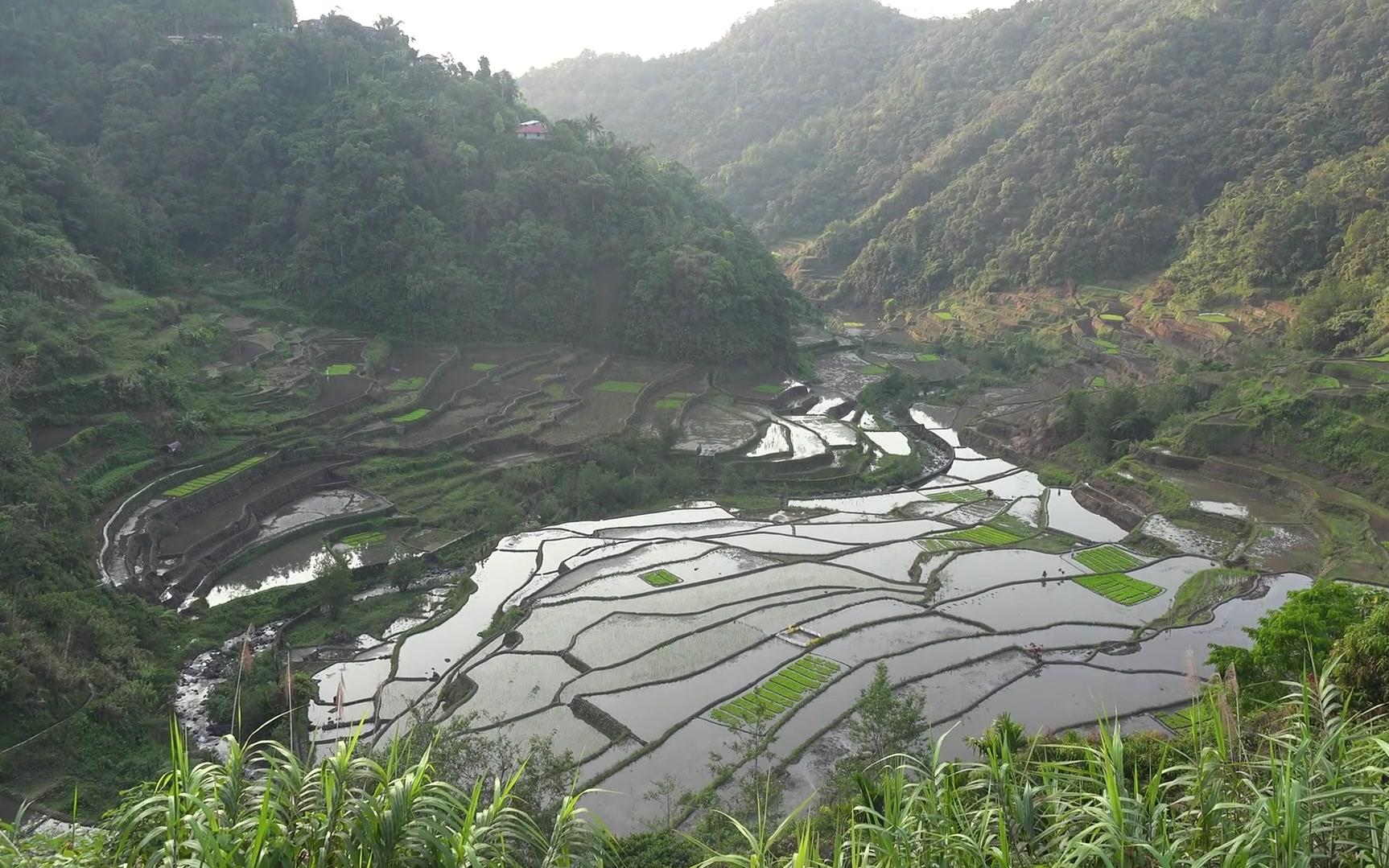 【自然/风景】菲律宾科迪勒拉水稻梯田(码率6000)哔哩哔哩bilibili