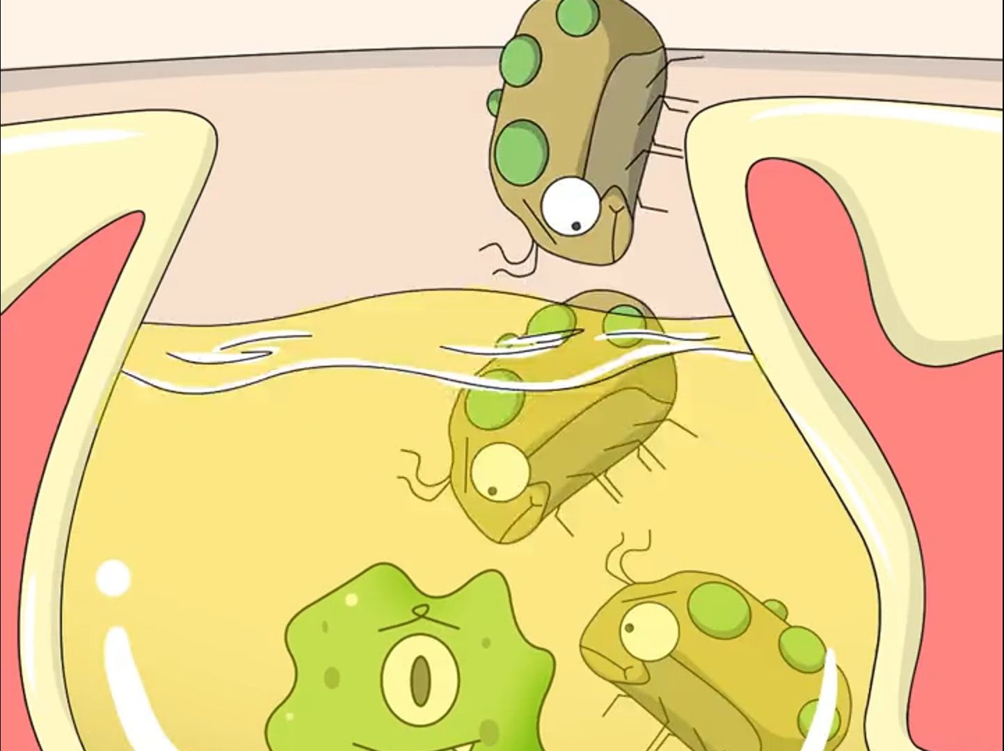 你痘痘的细菌就是这样生成的!好吓人!