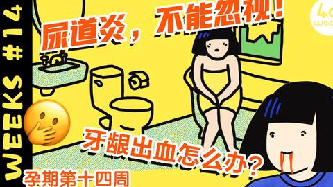 孕期第14周 小心尿道炎及牙龈出血症状 哔哩哔哩