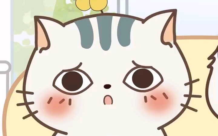 【小贱猫土豆君】难道你还不懂我的心吗