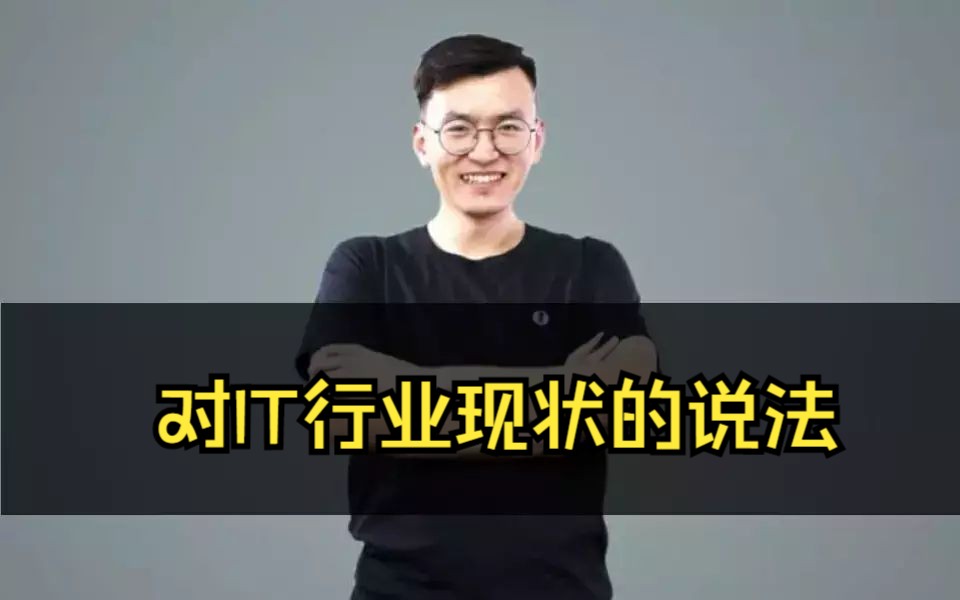 对IT行业现状的说法哔哩哔哩bilibili