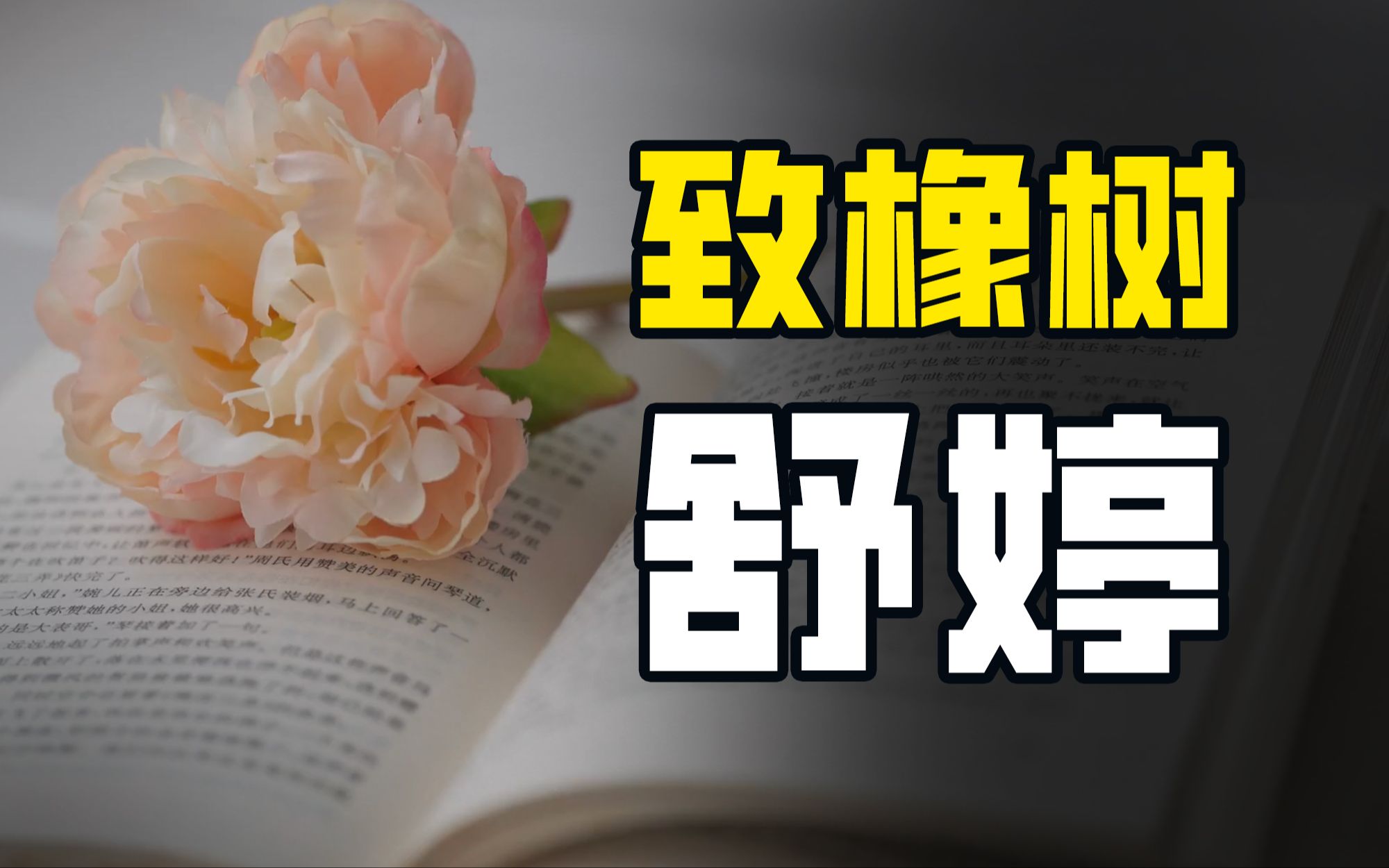 【致橡树】正确的爱情观是什么?哔哩哔哩bilibili