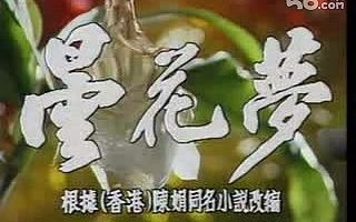 怀旧电视剧 昙花梦片头曲(1988沈小岑)哔哩哔哩bilibili