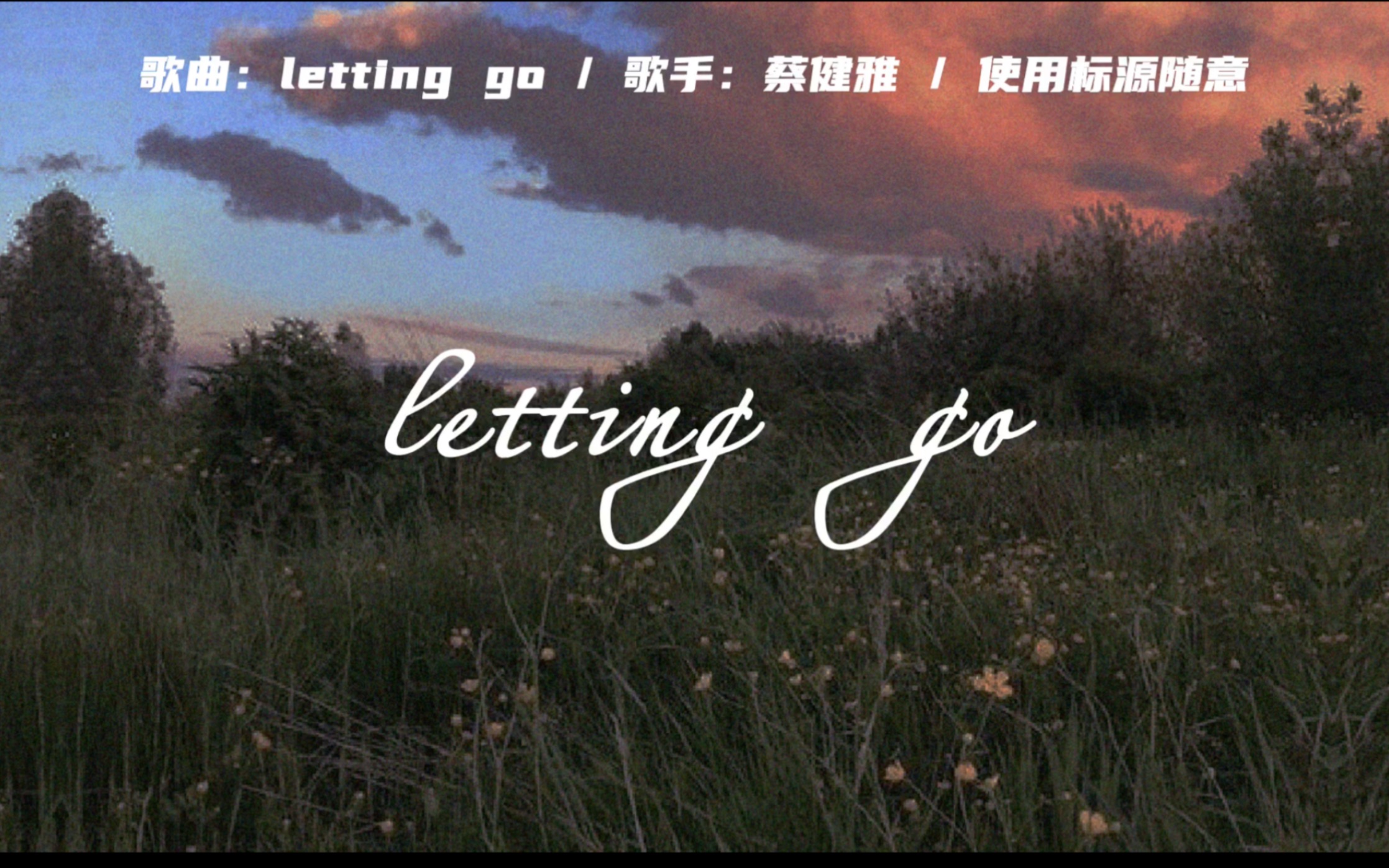 动态歌词排版|蔡健雅《letting go》,一首很适合剪破镜重圆等剧情的歌哔哩哔哩bilibili