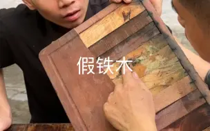 下载视频: 假铁木