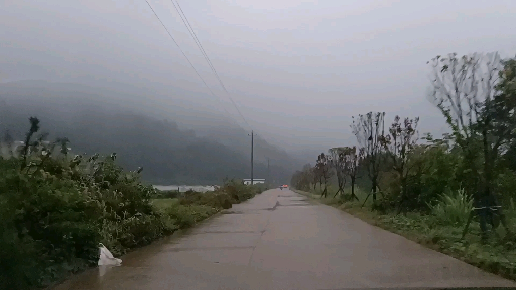 [图]细雨湿流光，芳草年年与恨长。岁月依然静好。