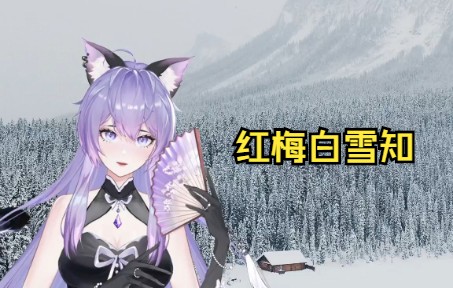 红梅白雪知.哔哩哔哩bilibili