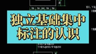 独立基础集中标注的认识