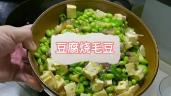 Download Video: 家常菜豆腐烧毛豆