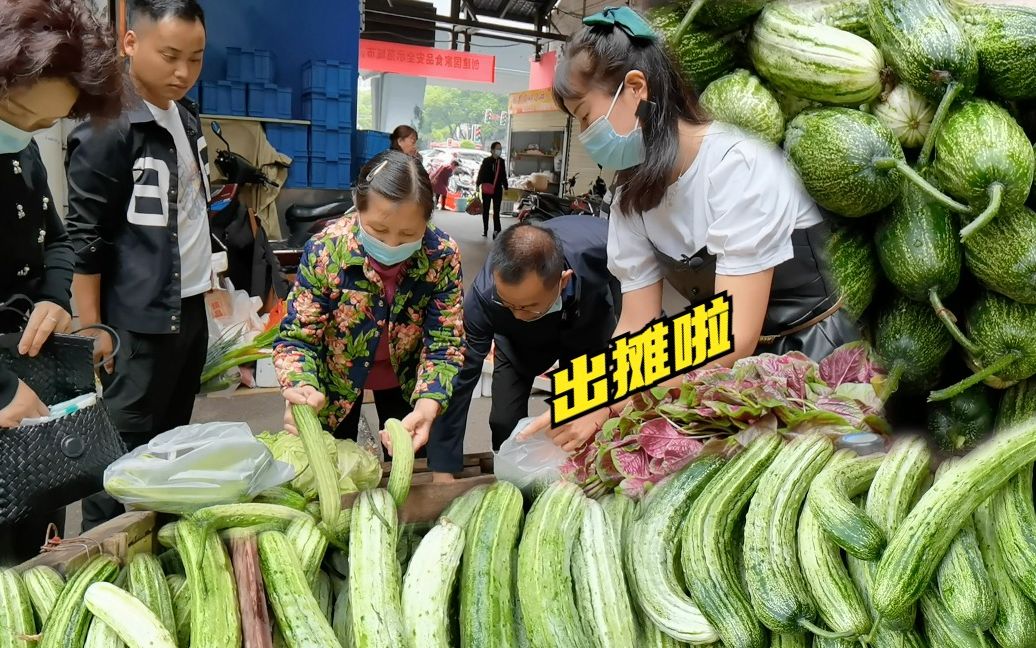 水果黄瓜出摊受欢迎,被一抢而空,市场独家经营,老爸又进账了!哔哩哔哩bilibili