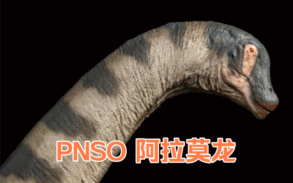 [图]「呆头鹅」新品资讯 PNSO恐龙大王阿拉莫龙 恐龙模型