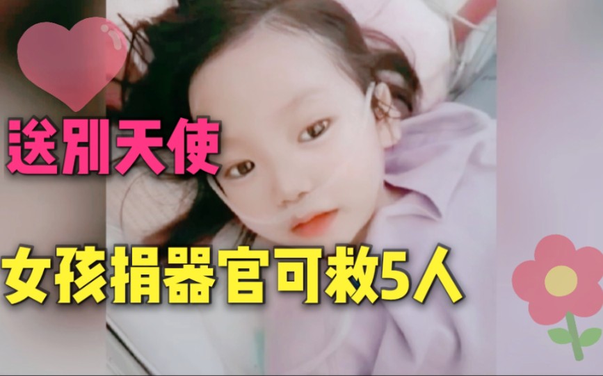 活动作品送别小天使6岁小女孩去世捐器官可救5人