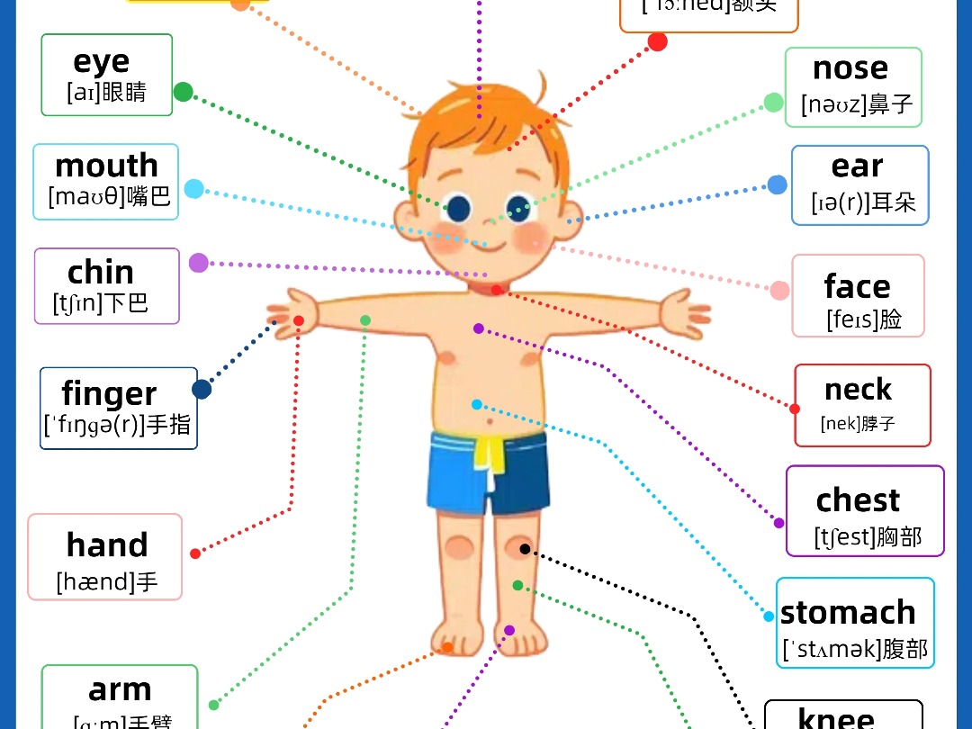 三年级英语身体部位画图片