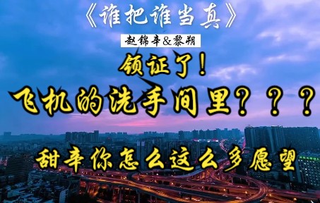 《谁把谁当真》【赵锦辛&黎朔】高甜(二)飞机的洗手间???我人没了哔哩哔哩bilibili