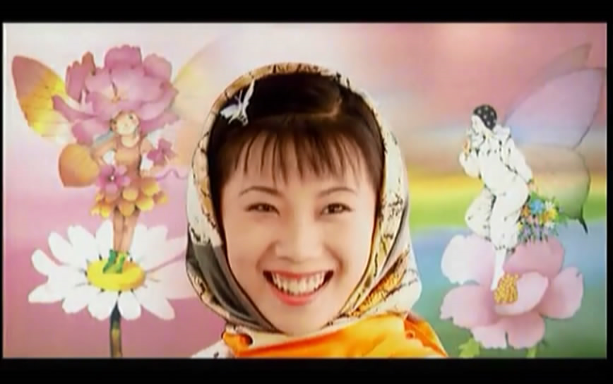 [图]赵鹏-花蝴蝶 MV+KTV 1998年