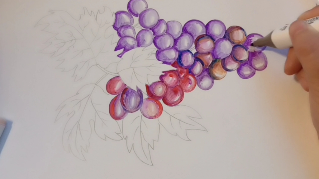 马克笔画葡萄别有一番风味