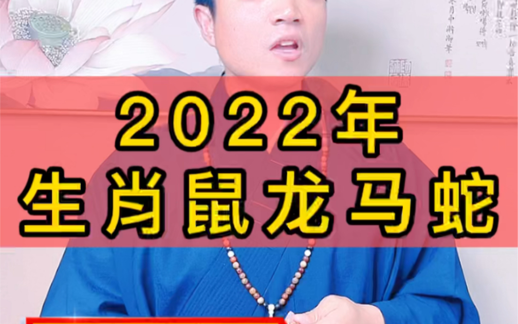 2022年生肖龙鼠马蛇哔哩哔哩bilibili