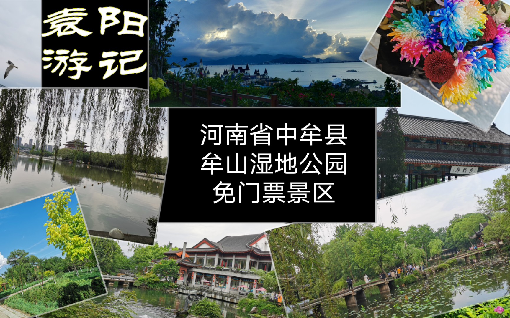 【袁阳游记】牟山湿地公园20240321哔哩哔哩bilibili