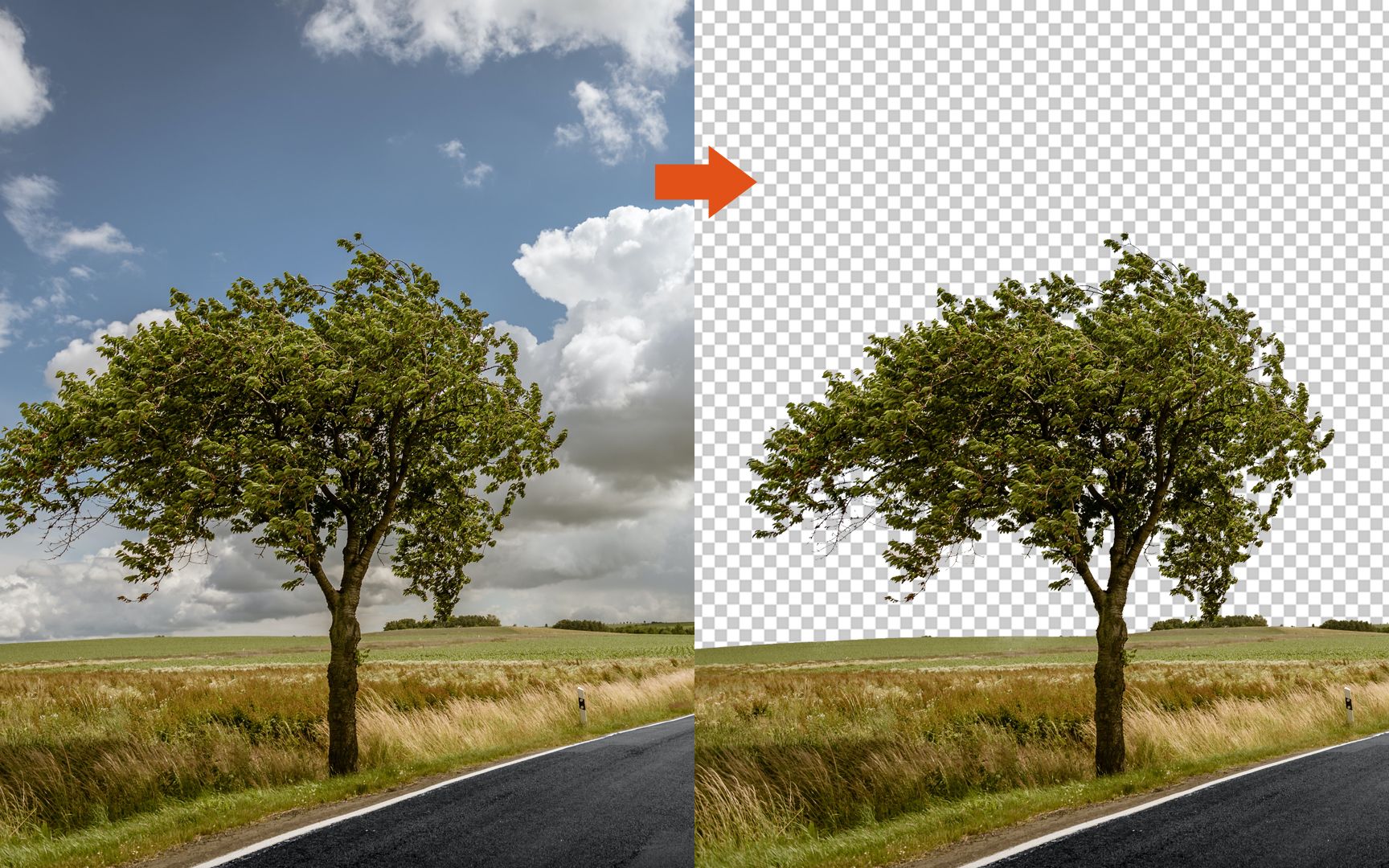 ps另类抠图法:快速抠取复杂树木!