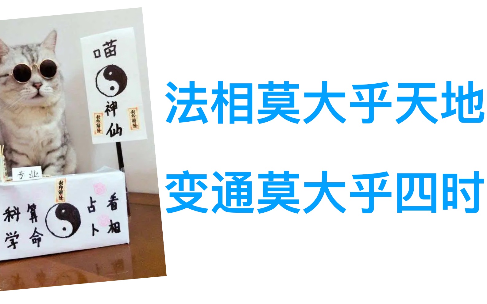 【直播案例分享】人生贵在坚持,四时流转,总有属于你的春天哔哩哔哩bilibili