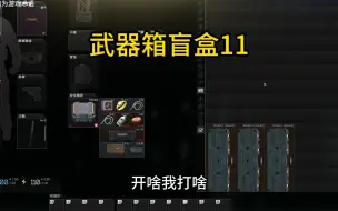 下载视频: 武器箱盲盒10